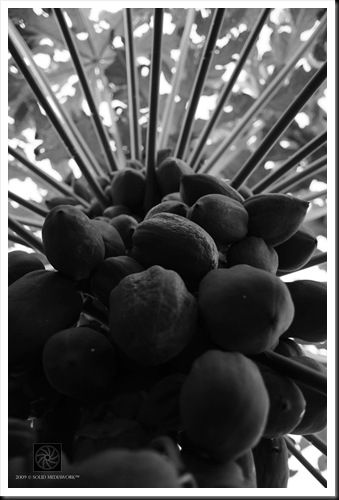 B&W22
