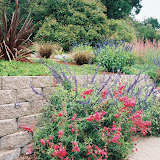 Slideshow Landscape Designs