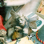FI2608655_4E.jpg