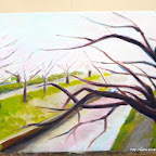 20090419.JPG
