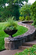[103-grasses1[2].jpg]