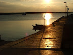 DSCF4332.JPG