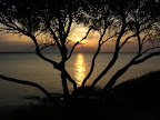 DSCF4357.JPG
