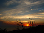 ss08_07.jpg ss08_07.jpg