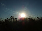 ss14_04.jpg
