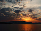 ss20_08.jpg