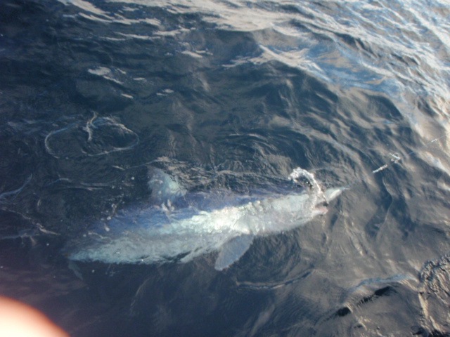 [P7020033[2].jpg]