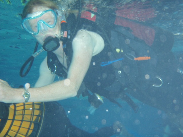 [P1220243[3].jpg]