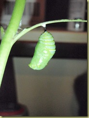 P1280040