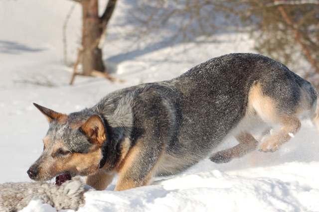 [DSC_4367[3].jpg]