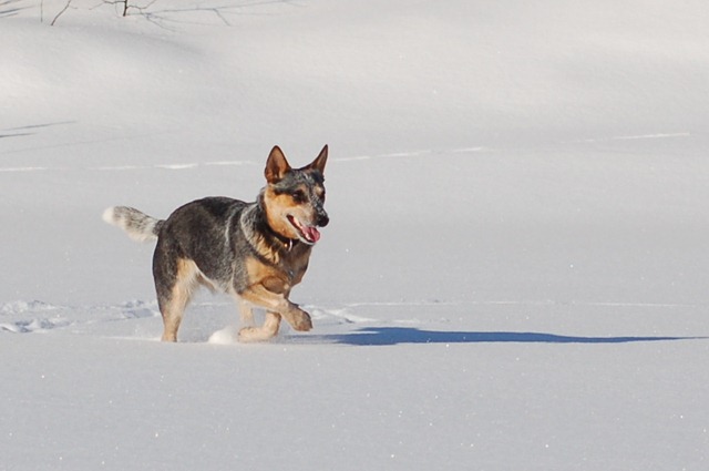 [DSC_4459[3].jpg]
