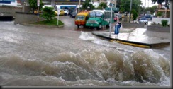 IMAGEN-4588444-1