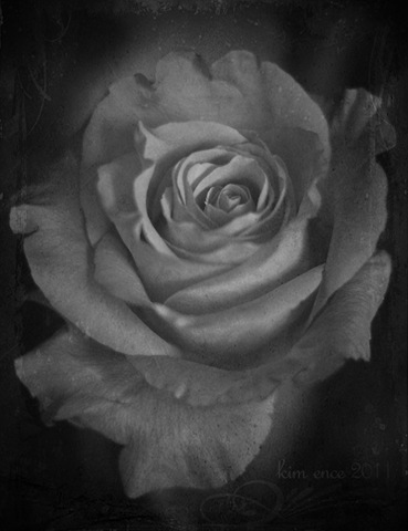 [perfect imperfection bw.jpg]