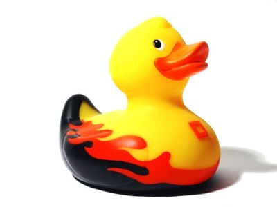 [Ducky3.jpg]