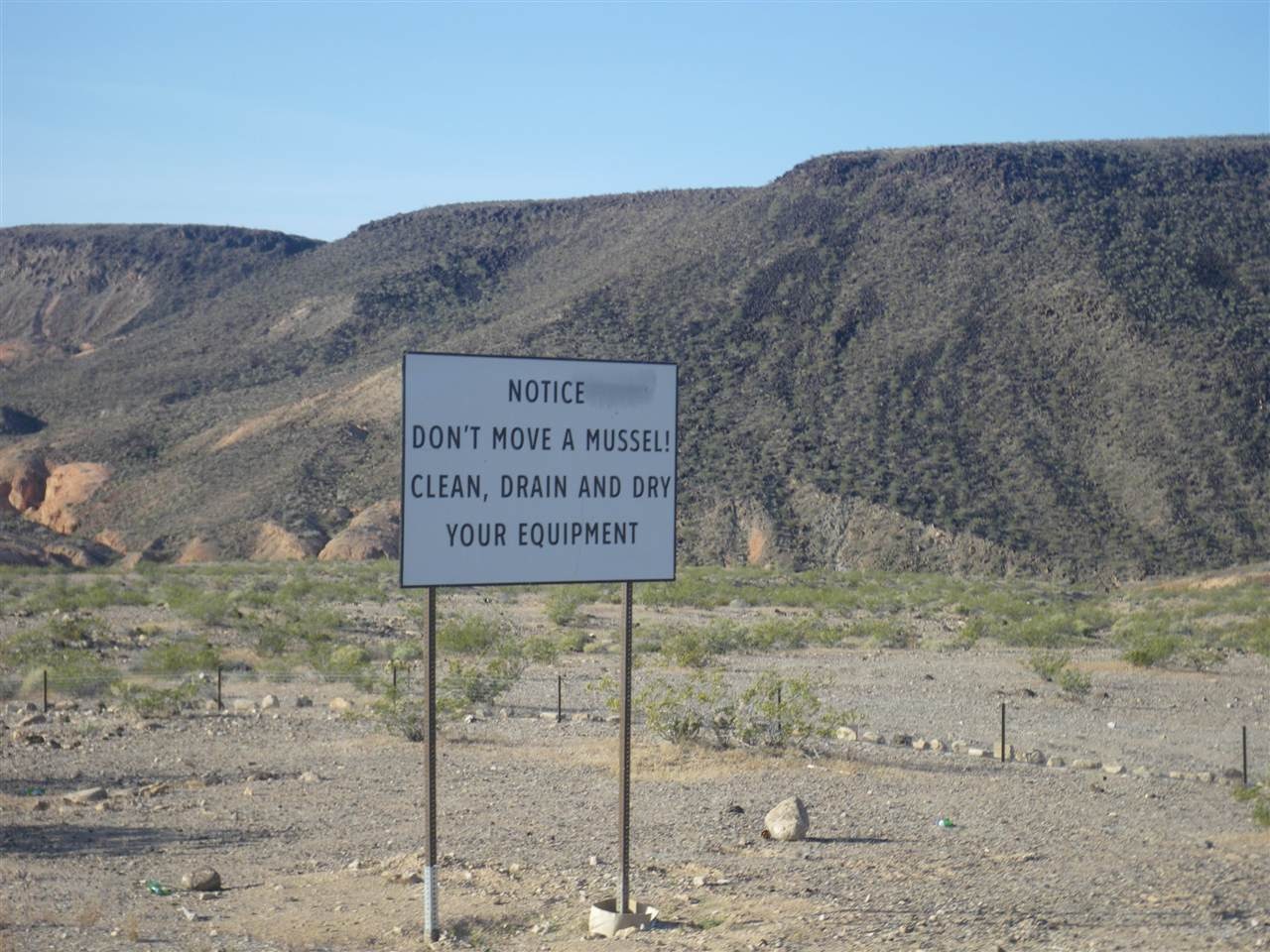 [IMGP33982.jpg]
