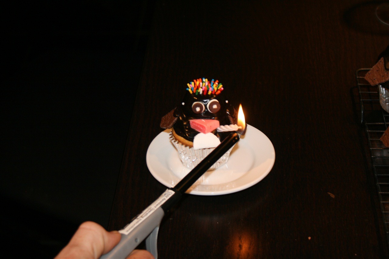 [IMG_80132.jpg]