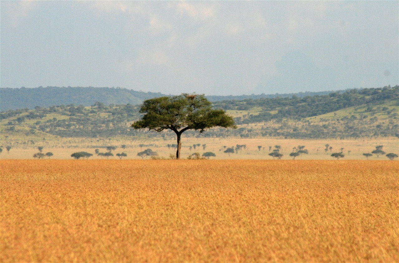 [IMG_9074A2.jpg]