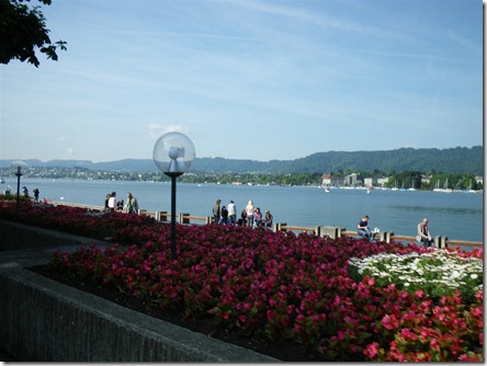 IMGP4456