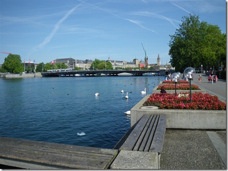 IMGP4478