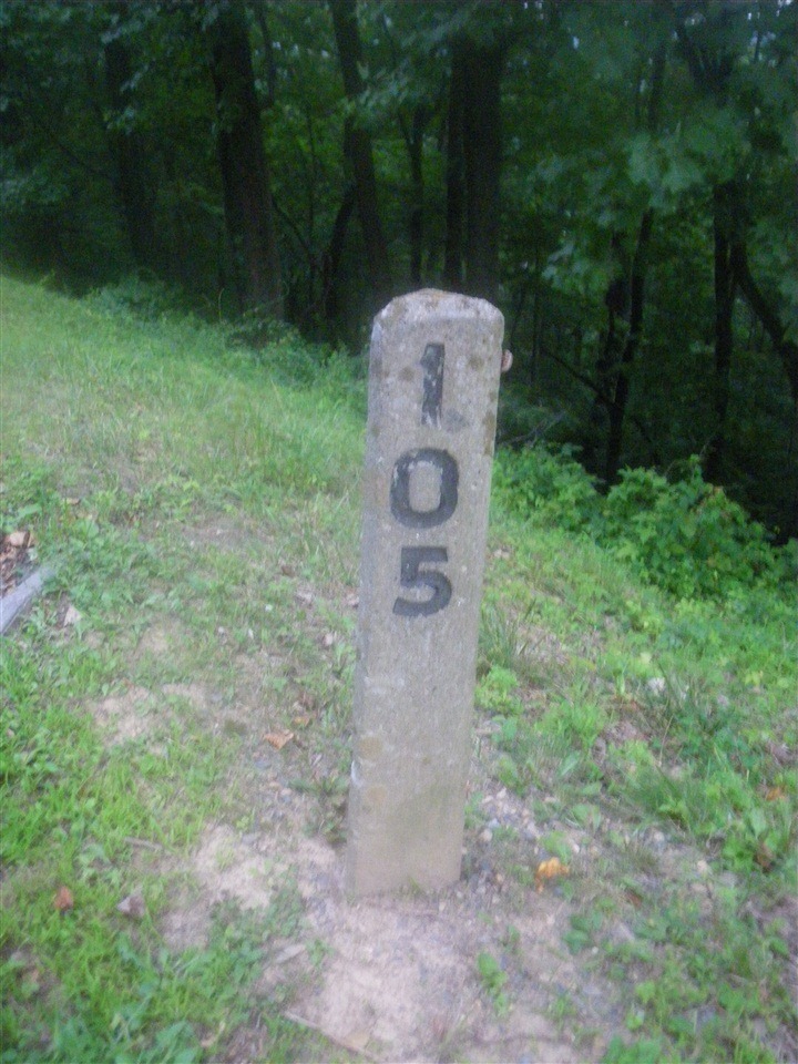 [IMGP53132.jpg]