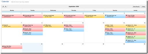 Garmin Connect Calendar View with 310XT data