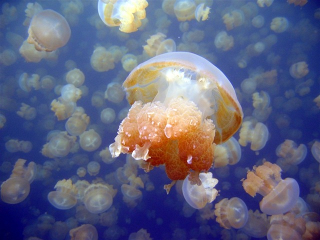[IMG_5869a5B35D1.png]