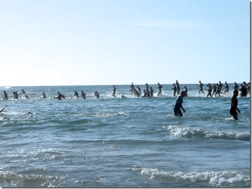 Sandbarswim