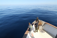 IMG_4505[2]