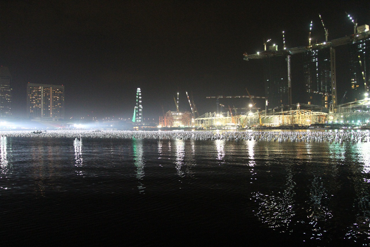 [IMG_86552.jpg]