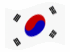 [coreadelsur[3].gif]
