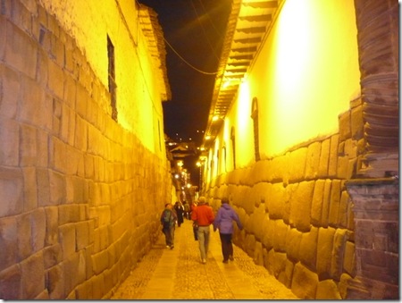 P1010868