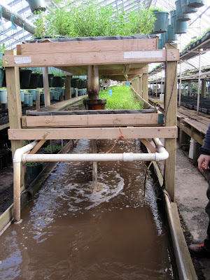 Aquaponic system
