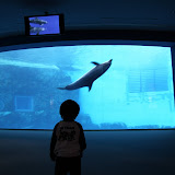20091030@水族館