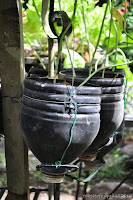 DSC_1016.JPG