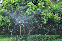 DSC_1072.JPG