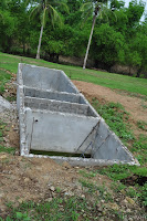 DSC_0247.JPG