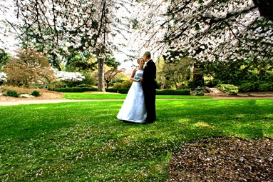 Point Defiance Pagoda wedding