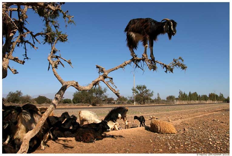 [puu_kits_3867[3].jpg]