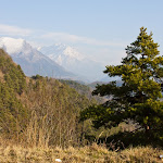 IMG_3307.jpg
