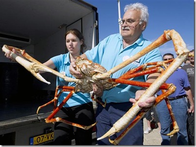 crabzilla1