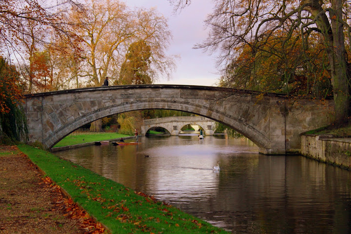 The river Cam, seen from Queens grove.