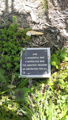 Inspirational Jane Memorial 