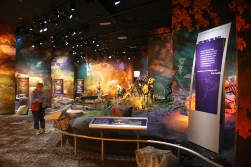 [image_8136114[16].jpg]