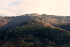 img_0564.jpg