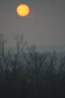 img_0995.jpg