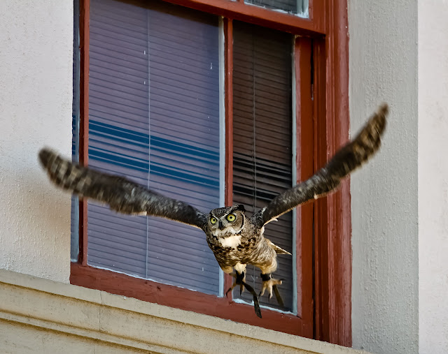 IMAGE: http://lh5.ggpht.com/_WsLuAe3fKfg/TPrkXbu5eFI/AAAAAAAARzs/Cbo1I8Hw2_Y/s640/IMG_4682.jpg