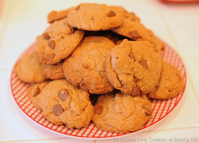 [Chocolate Chip Cookies[12].jpg]