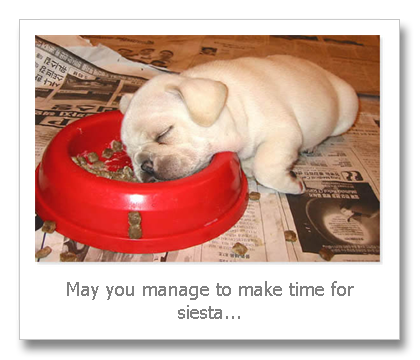 recovery timefor dogs with eye ulcer