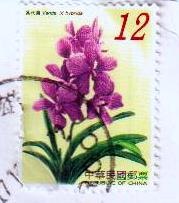 [Taiwan flowers 2[3].jpg]