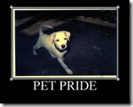 PETPRIDE